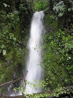 The waterfall above Jackson's Retreat.