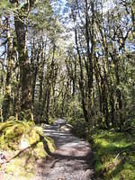 IMG_1153.JPG