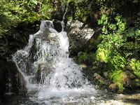 IMG_1165.JPG