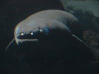 IMG_1298.JPG