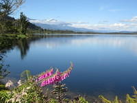 Lake Mapourika near Franz Josef Glacier