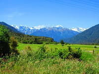IMG_1343.JPG
