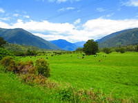 IMG_1636.JPG