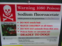 Saw many of these signs.  This is an interesting debate in New Zealand.  In order to help control the invasive possum and stoat population the government drops poison pellets from helicopters.