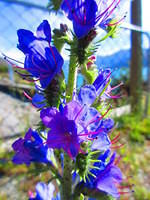 IMG_1678.JPG