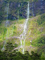 IMG_1875.JPG