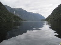 Heading out into Doubtful Sound in the morning.  After 5-6 hours of paddling, we camped along Crooked Arm.