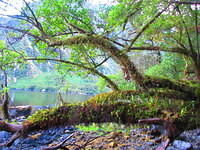 IMG_2113.JPG