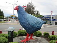 Between rainstorms, we walked around Te Anau and found this cute statue of a Takahe.