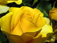 IMG_2283.JPG