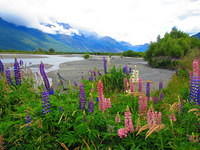 The view of the Dart River.