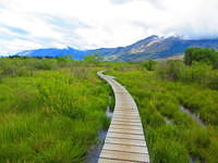 A great boardwalk system around and through the lagoons.