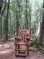 A normal chair