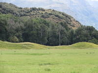 Filming location for Beone, the home of the skin changer. Notice the triangular tree in the front left corner, then look at the next picture.  The building all had to be removed since it is DOC land.