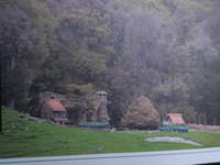 Movie scene from the Hobbit - Notice the triangular tree then find that tree in my picture.
