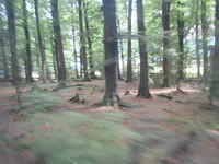Driving though the filming location for Amon Hen.