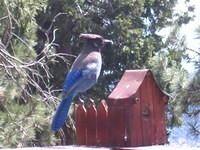 IMG_6673.JPG