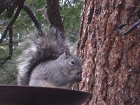 IMG_6687.JPG