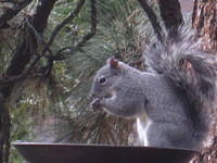 IMG_6694.JPG