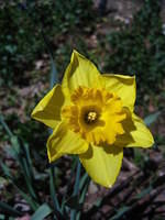 IMG_6743.JPG