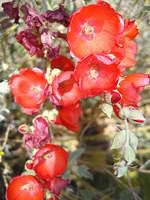 IMG_6839.JPG