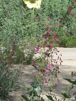 IMG_6843.JPG