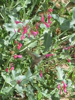 IMG_6852.JPG