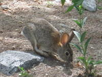 IMG_6856.JPG