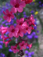 IMG_6857.JPG
