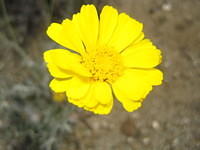 IMG_6866.JPG