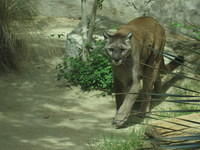 IMG_6875.JPG