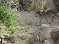 IMG_6892.JPG