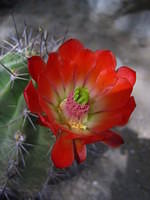 IMG_6894.JPG