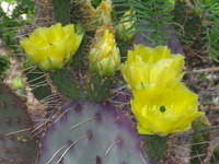 IMG_6898.JPG