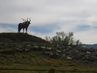 IMG_6934.JPG