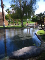 IMG_6937.JPG