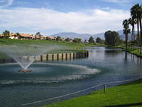 IMG_6939.JPG