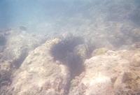 14March054.jpg
