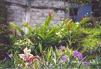 15March090.jpg