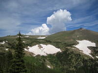 IMG_5572.jpg