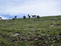 IMG_5578.jpg