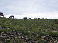 IMG_5579.jpg