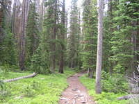 IMG_5632.jpg