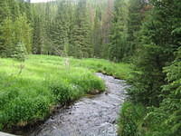 IMG_5633.jpg