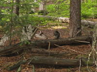 IMG_5637.jpg