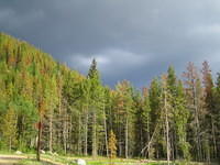 IMG_5647.jpg