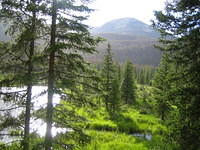 IMG_5648.jpg