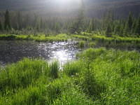 IMG_5651.jpg