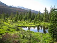 IMG_5652.jpg
