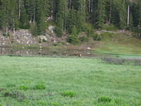 IMG_5655.jpg
